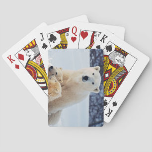 Mooi Polair Beer en haar kubussen Pokerkaarten