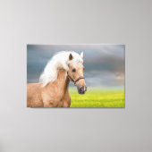 Mooi Portret Palomino Paard met Lange Mane Canvas Afdruk (Voorkant)