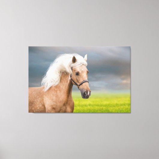 Mooi Portret Palomino Paard met Lange Mane Canvas Afdruk (Voorkant)