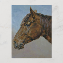 Mooi portret van bruin paard briefkaart