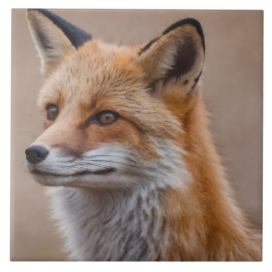 Mooi Portret van Red Fox in Wilderness 2a Tegeltje (Voorkant)