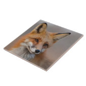 Mooi Portret van Red Fox in Wilderness 3a Tegeltje (Zijkant)