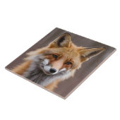 Mooi Portret van Red Fox in Wilderness 4a Tegeltje (Zijkant)
