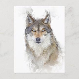 Mooi portret van Wolf Briefkaart