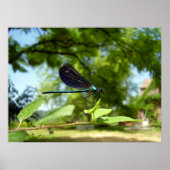 Mooi Poster (Voorkant)