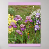 Mooi Poster Iris Irise Flower Garden (Voorkant)