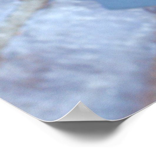 Mooi Poster met korte haartjes (Hoek)