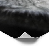 Mooi Poster met zwarte en witte kat (Hoek)