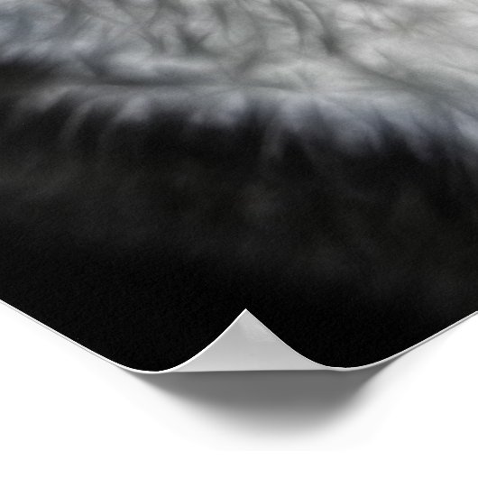 Mooi Poster met zwarte en witte kat (Hoek)