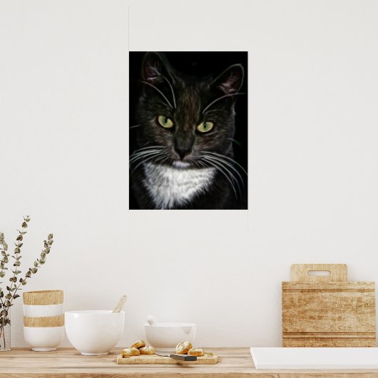 Mooi Poster met zwarte en witte kat (Keuken)