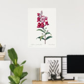Mooi Poster van Botanische Illustratie (Thuiskantoor)