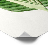 Mooi  Poster van Botanische Illustratie (Hoek)