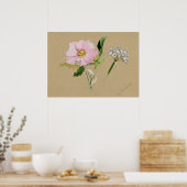 Mooi Poster van Botanische Illustratie (Keuken)