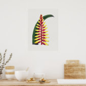 Mooi Poster van Botanische Illustratie (Keuken)