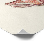 Mooi  Poster van Botanische Illustratie (Hoek)