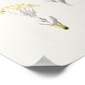 Mooi Poster van Botanische Illustratie (Hoek)