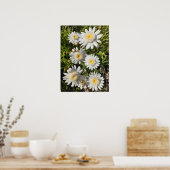 Mooi Poster van de ventilatortuin, White Daisy (Keuken)