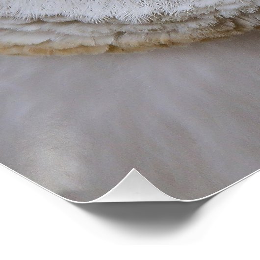 Mooi Poster van Owl Face (Hoek)