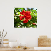 Mooi Poster van Red Hawaiian Hibiscus Flower (Keuken)