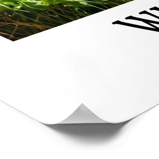 Mooi Poster van Wijnland! (Hoek)