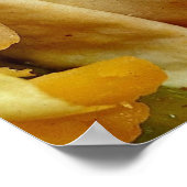 Mooi recept van Burrito voor liefhebbers van voeds Poster (Hoek)