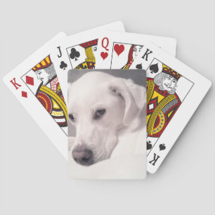 Mooi Regal White Labrador Mix Dog Grey Playin Pokerkaarten