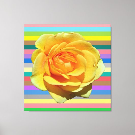 Mooi regenboog roos canvas afdruk (Voorkant)