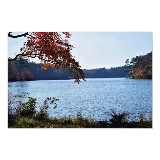 Mooi Riverside Uitzicht Foto Afdruk (Voorkant)