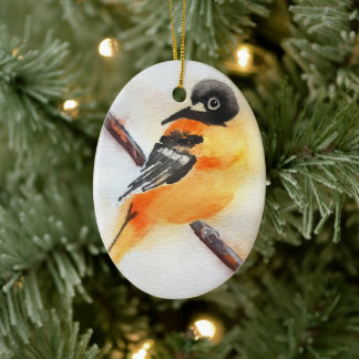 Mooi Robin Waterverf Kerstmis Keramisch Ornament