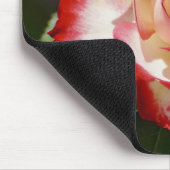 Mooi rood en wit Roos Muismat (Hoek)