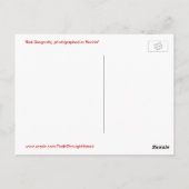 Mooi rood libel Briefkaart (Achterkant)