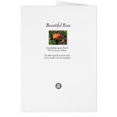 Mooi Roos (Achterkant)