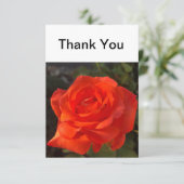 Mooi Roos Bedankkaart (Staand voorkant)