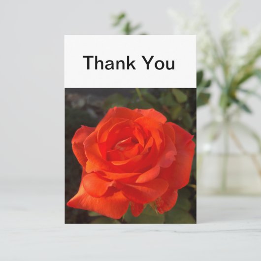 Mooi Roos Bedankkaart (Staand voorkant)