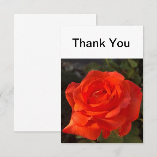 Mooi Roos Bedankkaart (Voorkant / Achterkant)