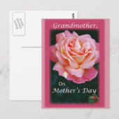 Mooi Roos Briefkaart (Voorkant / Achterkant)