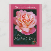 Mooi Roos Briefkaart (Voorkant)