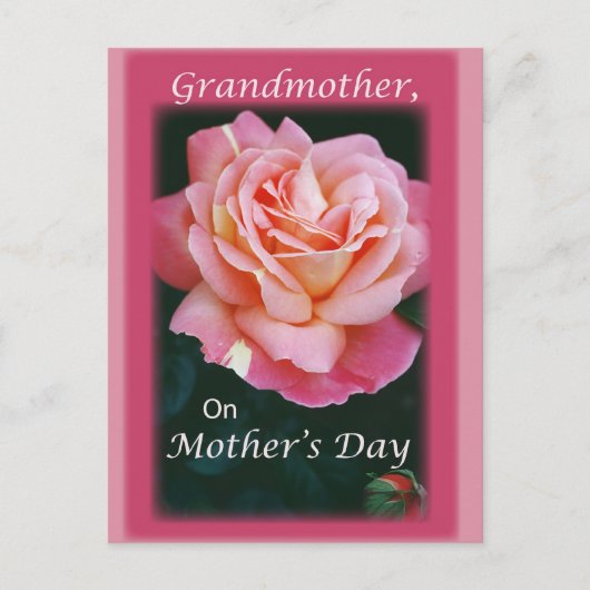 Mooi Roos Briefkaart (Voorkant)