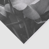 Mooi Roos en Rosebud zwart-witte bloem Tissuepapier (Detail)