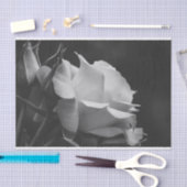 Mooi Roos en Rosebud zwart-witte bloem Tissuepapier (Craft)