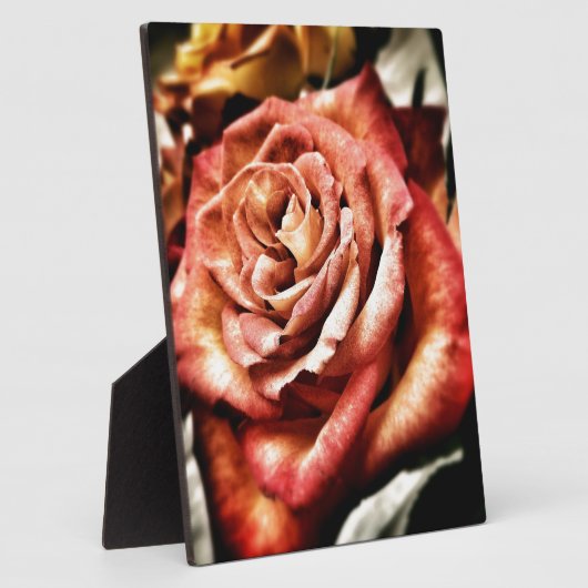 Mooi Roos Fotoplaat (Zijkant)