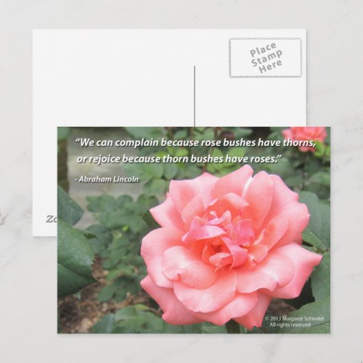 Mooi Roos in Bloom briefkaart w / Lincoln quote (Voorkant / Achterkant)