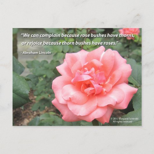 Mooi Roos in Bloom briefkaart w / Lincoln quote (Voorkant)