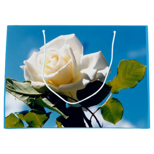 Mooi Roos is White Sky is Blue Groot Cadeauzakje (Voorkant)