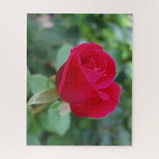 Mooi Roos Jigzaag Puzzle Legpuzzel (Verticaal)