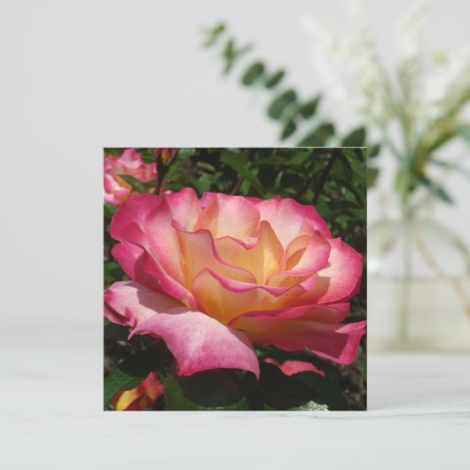 Mooi Roos Kaart (Staand voorkant)