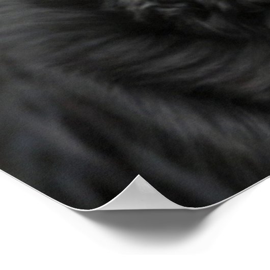 Mooi Rottweiler Dog poster (Hoek)