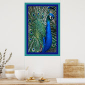 Mooi Royal Peacock Photo Poster (Keuken)