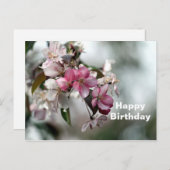 Mooi Roze Appel Bloem Foto Verjaardag Briefkaart (Voorkant / Achterkant)