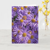 Mooi roze Aster Wenskaart Kaart (Gele Bloem)